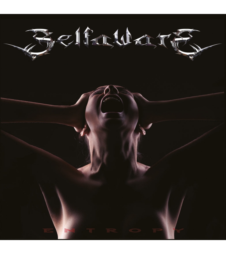 SELFAWARE - Entropy